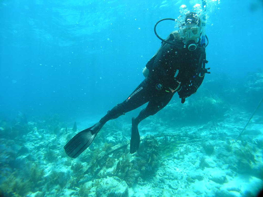 19th-Century Shipwreck: What Are the Proven Discoveries?