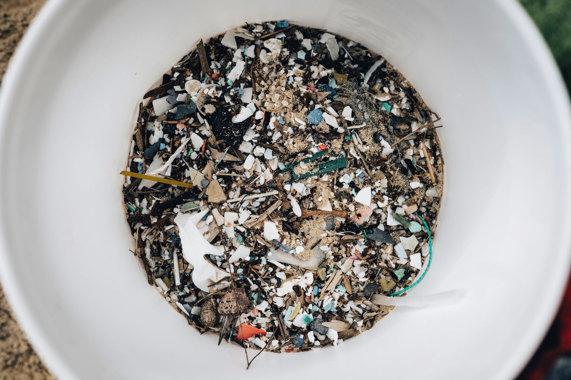 Microplastics in Soil: The Hidden Threat Delivering Toxins