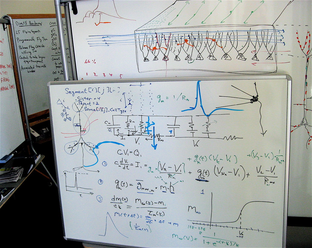 Brain Mapping Lipids: What’s the Best Proven Method?